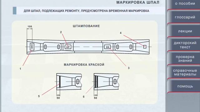 Устройство и текущее содержание бесстыкового пути