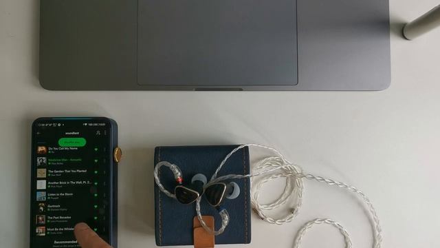 FIIO FH5s обзор