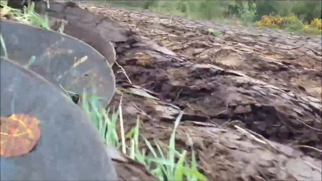 Wild Bird Cover 2014 смотреть онлайн