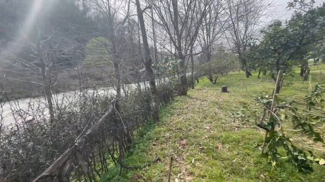 Участок на берегу реки в Чакви. смотреть онлайн