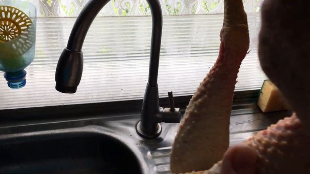 Потрошение Легорна, вес до и после. смотреть онлайн