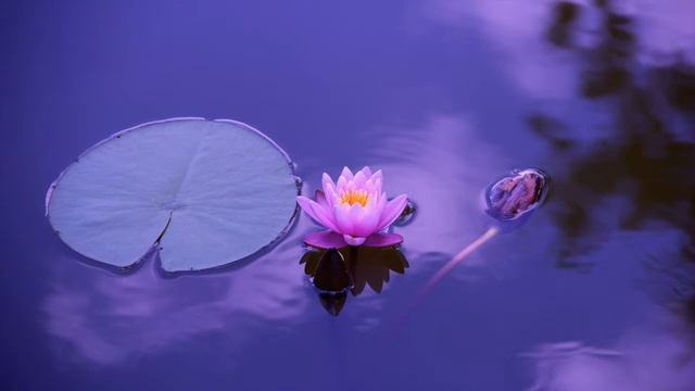 Groovy, Soothing, Chill Music - Instrumental (1HR Loop) смотреть онлайн