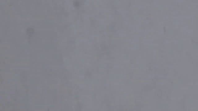 Бакс -Румпик в лесу работа в лесу по кабанам смотреть онлайн