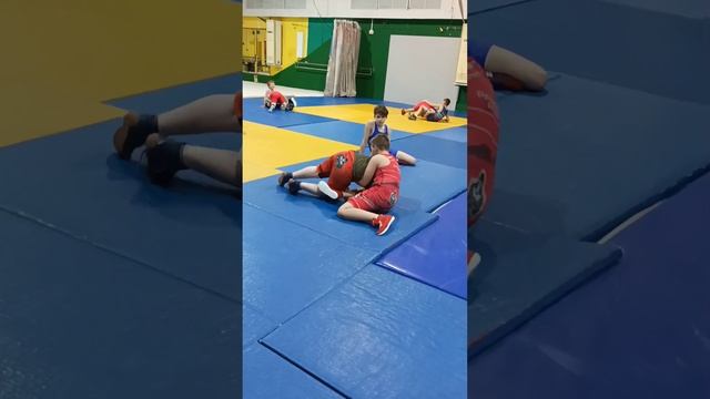 Wrestling, In training / Вольная борьба. На тренировке. смотреть онлайн