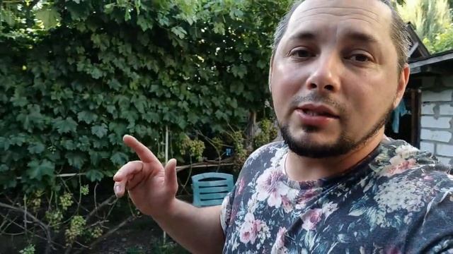 ВИНОГРАД ПРЕОБРАЖЕНИЕ ОСОБЕННОСТИ ВЫРАЩИВАНИЯ В СРЕДНЕЙ ПОЛОСЕ смотреть онлайн