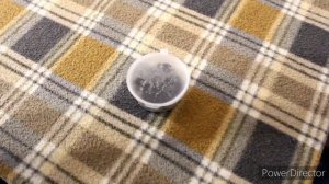 Как выводить мух из опарышей ? Самый лёгкий способ это сделать