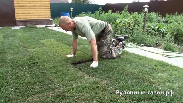 Рассказ об укладке рулонного газона