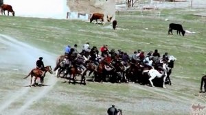 Копкары (козлодрание). Обычаи Средней Азии.