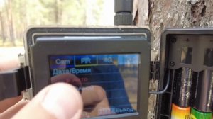 Какую фотоловушку купить. Обзор, тест. Полевые испытания. Сделай правильный выбор.