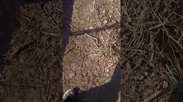 Нашёл место где кто-то жил или живёт смотреть онлайн