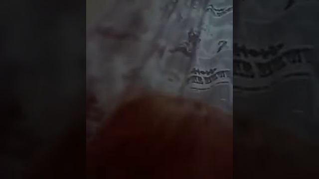 Обновление выйдет скоро вилд Крафт смотреть онлайн