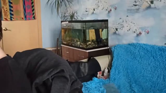 Потолок готов, шпаклёвка бесконечности и трюк смотреть онлайн