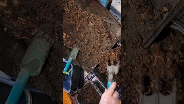 4138 Производство биогумуса в домашних условиях смотреть онлайн