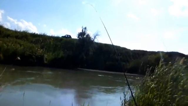 Ветер на голубом канале от Пал Палыча 12 06 18 смотреть онлайн