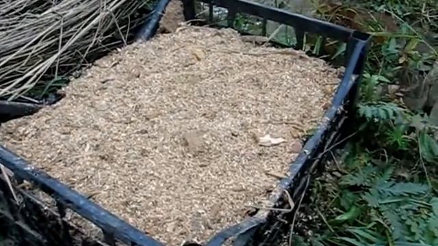 16 10 24 Посадка липы смотреть онлайн