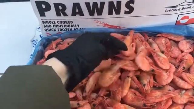 Креветки гренландские варено-мороженные смотреть онлайн