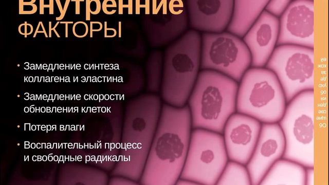 Я Женщина. Уход за кожей лица. смотреть онлайн