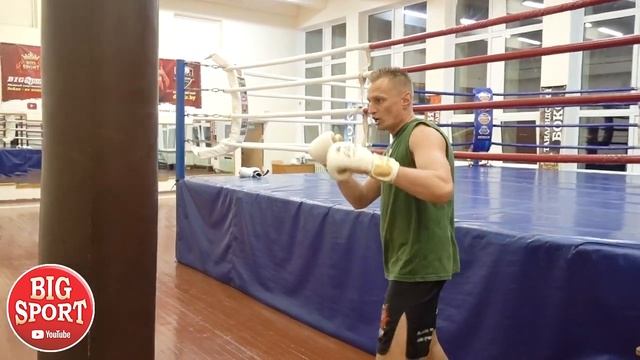 Гарантирую 100% Нокаутирующий удар СЛОНА вырубите Единоборства Бои без правил Боксёрские перчатки смотреть онлайн