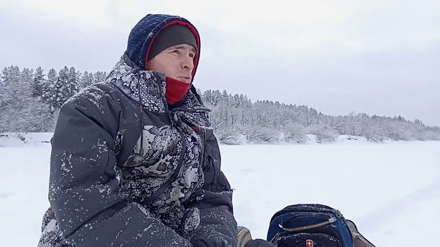 Обычный день. Рыбалка, собаки, природа. смотреть онлайн