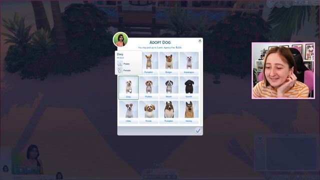 ISLAND ON FIRE | Spinning a Wheel to Decide My Sim's Life (Part 1) смотреть онлайн
