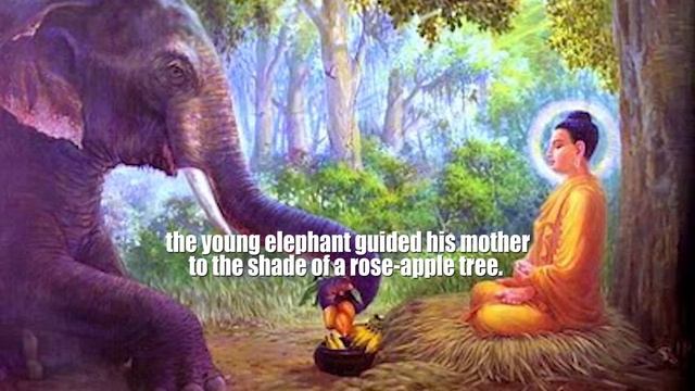 The Time When Buddha Was Reborn As An Elephant - a beautiful journey смотреть онлайн