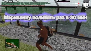 Подробный гайд на огороды (Radmir RP). Как много Заработать.