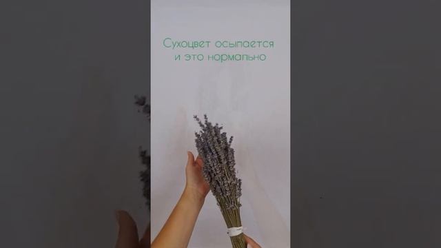 Букет Лавандина/Сухоцветы/Травы Горного Крыма смотреть онлайн