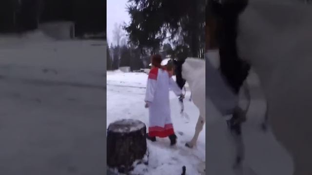 Баба ведет коня))) смотреть онлайн