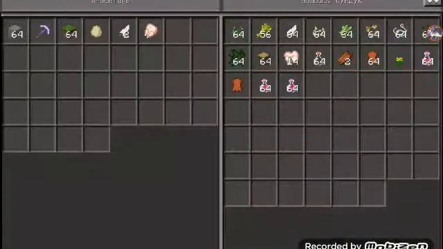 Лагерь котов воителей в Майнкрафт | От Белой Молнии смотреть онлайн