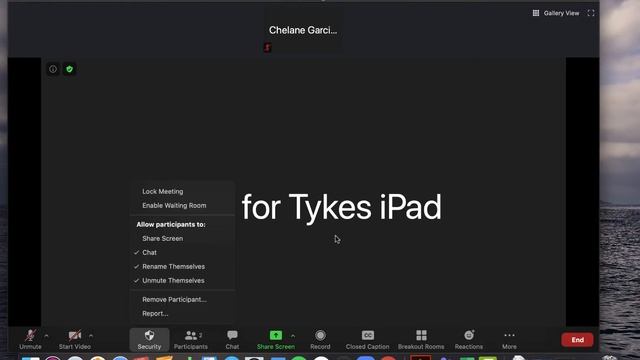 Zoom iPad Screen Share Tutorial смотреть онлайн