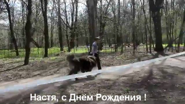 Гордость Императора Ишбулат смотреть онлайн