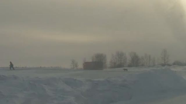 Борьба за экологию смотреть онлайн