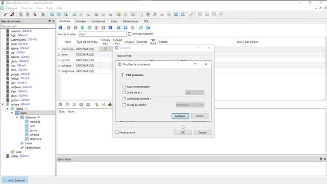 TUTO JAVA : Gestion de location de voiture PARTIE #2 + BASE DE DONNEE смотреть онлайн