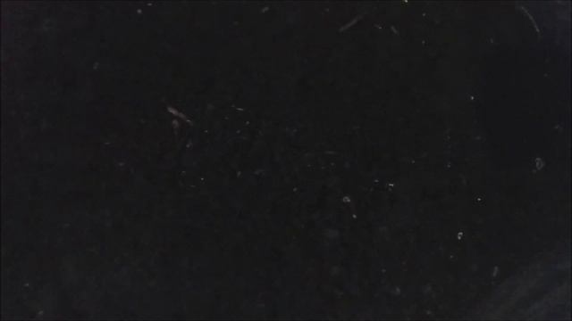 Как вырастить большой объем червя ч.4 смотреть онлайн