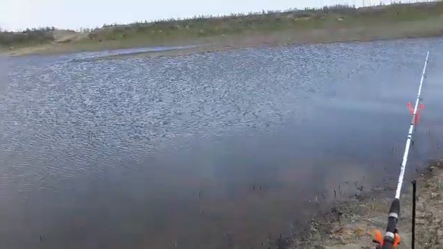 порыбачим на реке кигач смотреть онлайн
