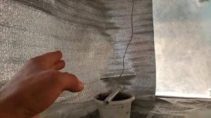 Самодельный бюджетный гроубокс сделан.