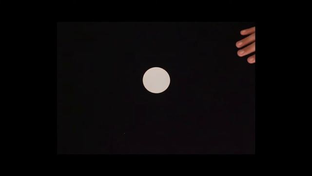 The Oracle - stop motion film смотреть онлайн