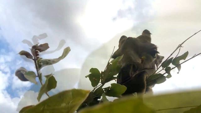 Жизнь хороша, когда ешь не спеша смотреть онлайн