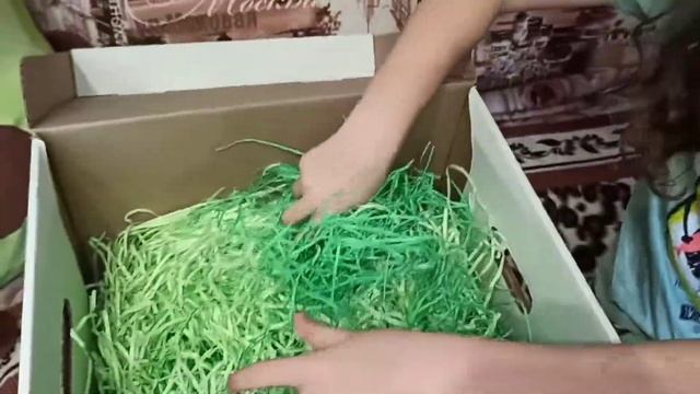 Крастибокс Авокадо смотреть онлайн