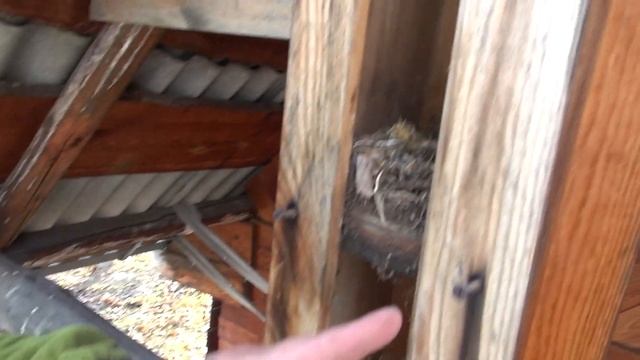 Трехэтажный скворечник распаковка смотреть онлайн