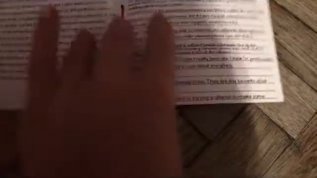 Видео обзор на Кэтти Нуар , мурняшка смотреть онлайн