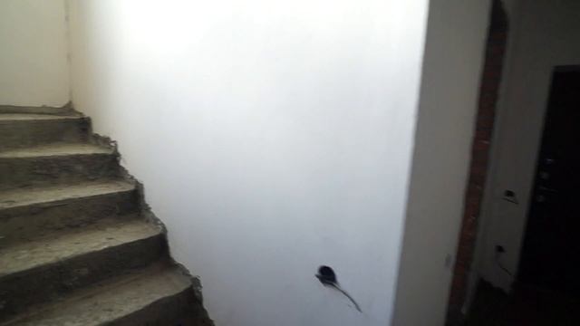 Большой таунхаус за 3 млн. с газом, светом и водой смотреть онлайн