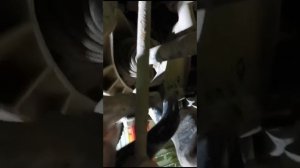 Замена наружного переднего  пылльника шруса, мКПП RAV 4   2017год