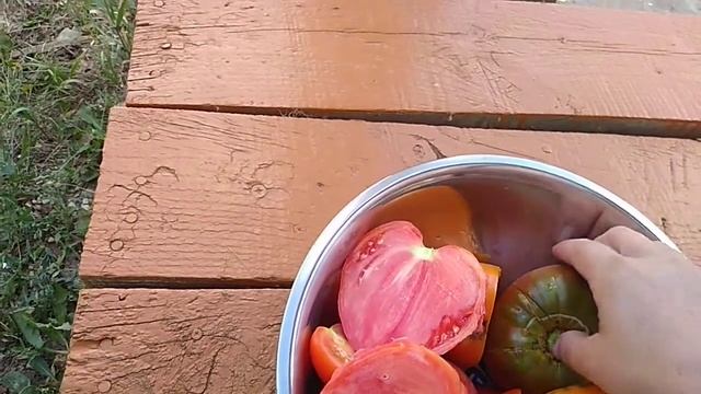 Мои коллекционные томаты Черный ананас,Зоюшка, Аликанте, смотреть онлайн