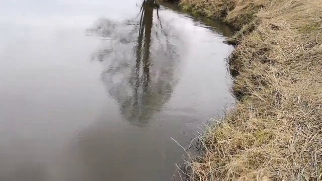 Открытие сезона 2021 года. Река Проня. Уха из щуки, много клещей, полная река и весна... смотреть онлайн