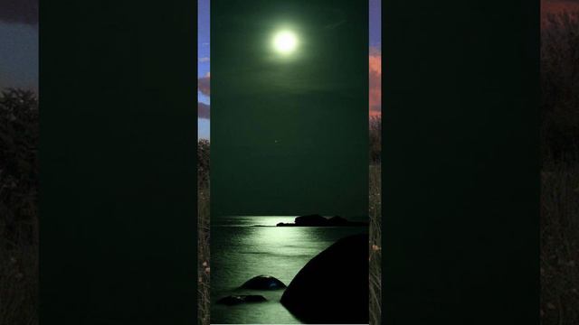 Шивтинг за 1минуту смотреть онлайн