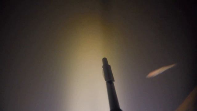 Подводная охота река Тьма 25 октября 2021г. смотреть онлайн