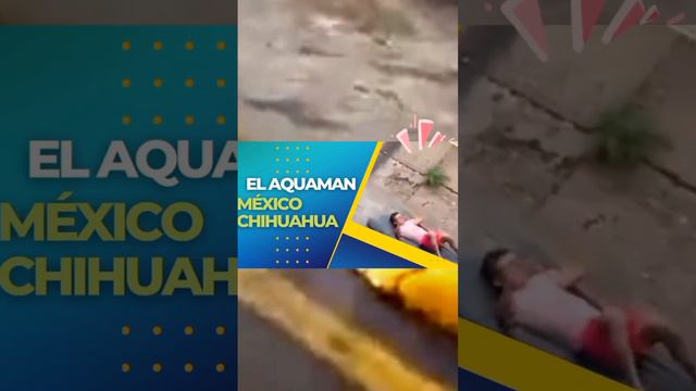 EL AQUAMAN DE CHIHUAHUA MÉXICO смотреть онлайн