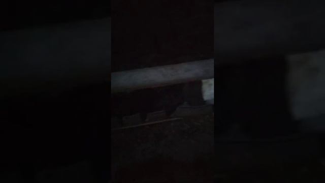 Соль для овец. смотреть онлайн