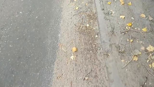 ПОИСК МЕТАЛЛОЛОМА БЕЗ МЕТАЛЛОИСКАТЕЛЯ И ЛОПАТЫ В ГОРОДЕ. ЦВЕТНОЙ МЕТАЛЛ ВОКРУГ НАС. МЕДЬ ЛАТУНЬ смотреть онлайн